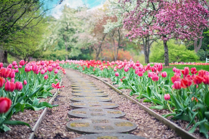 Enchanting Pathway