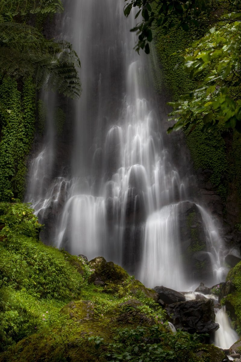 Water Feature
